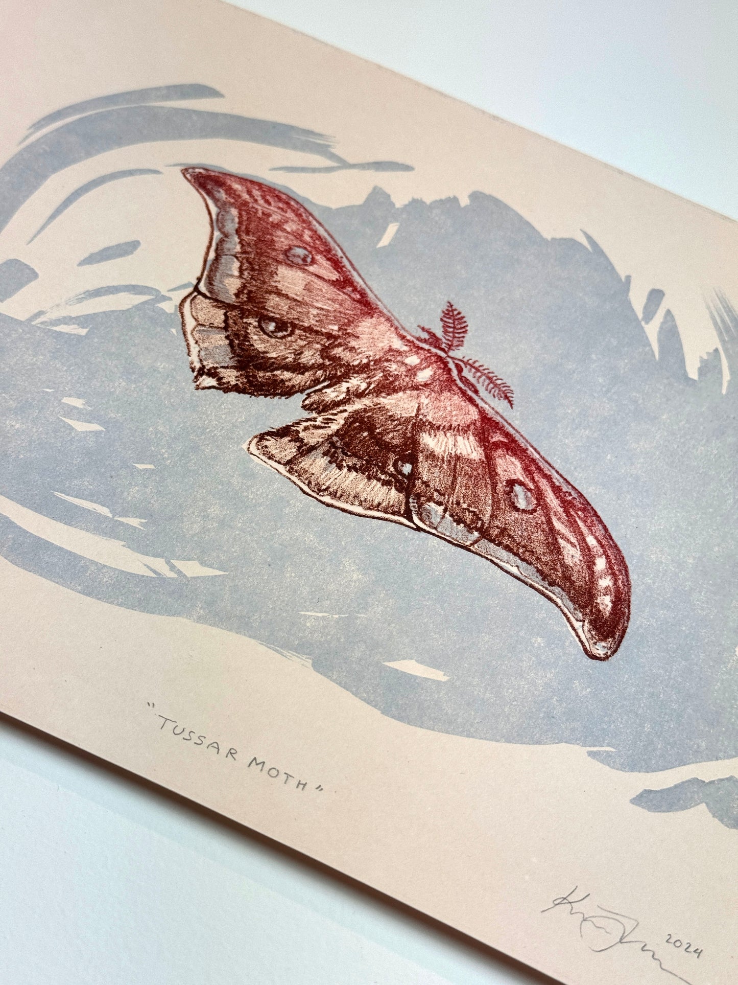 'Tussar Moth' | Tokyo