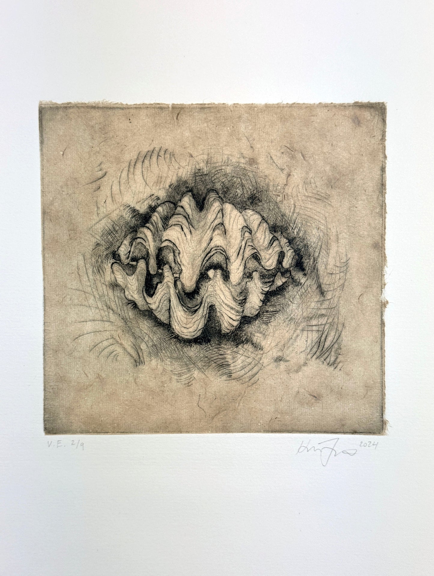 'Giant Clam' | Milan
