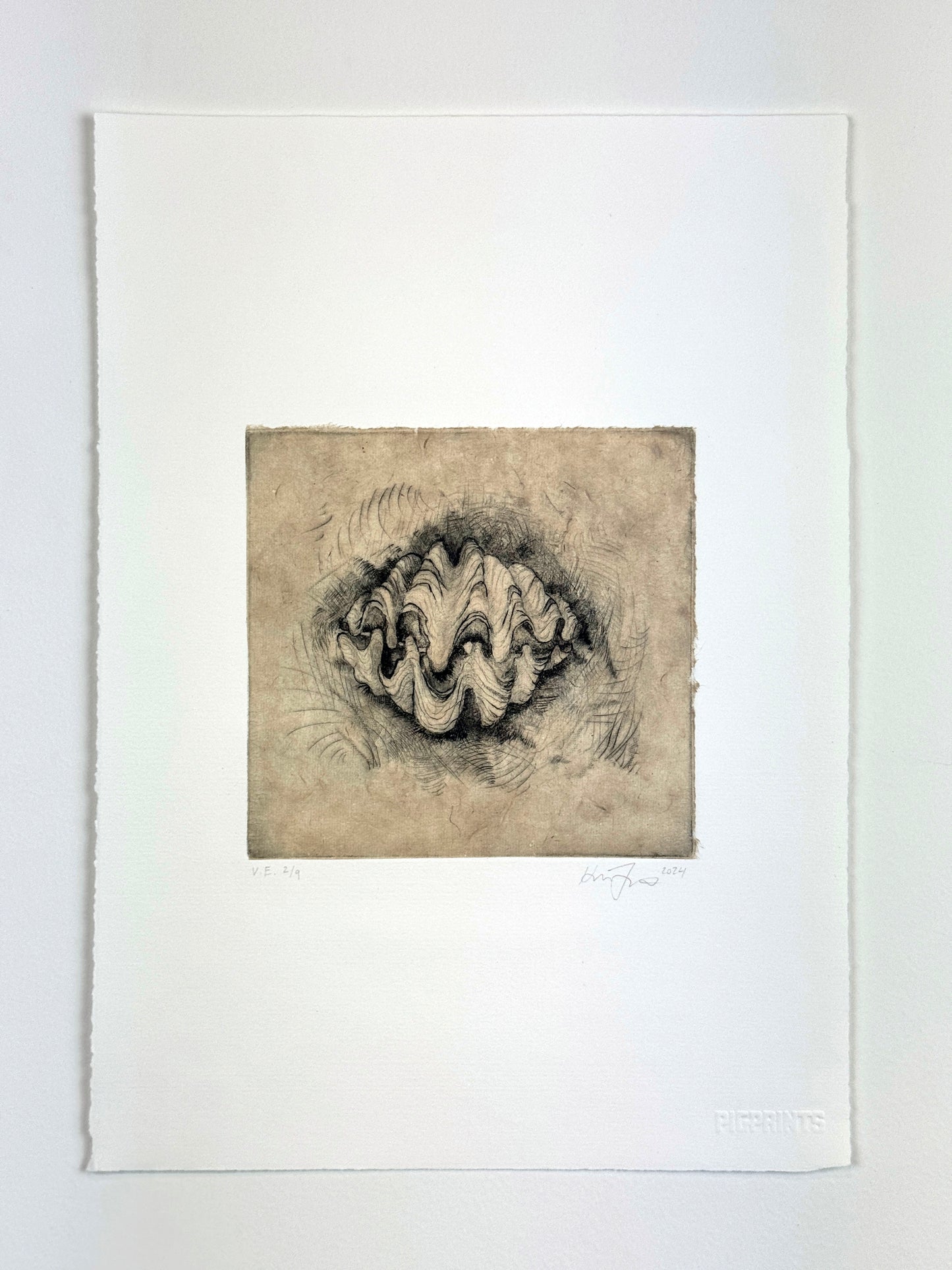 'Giant Clam' | Milan