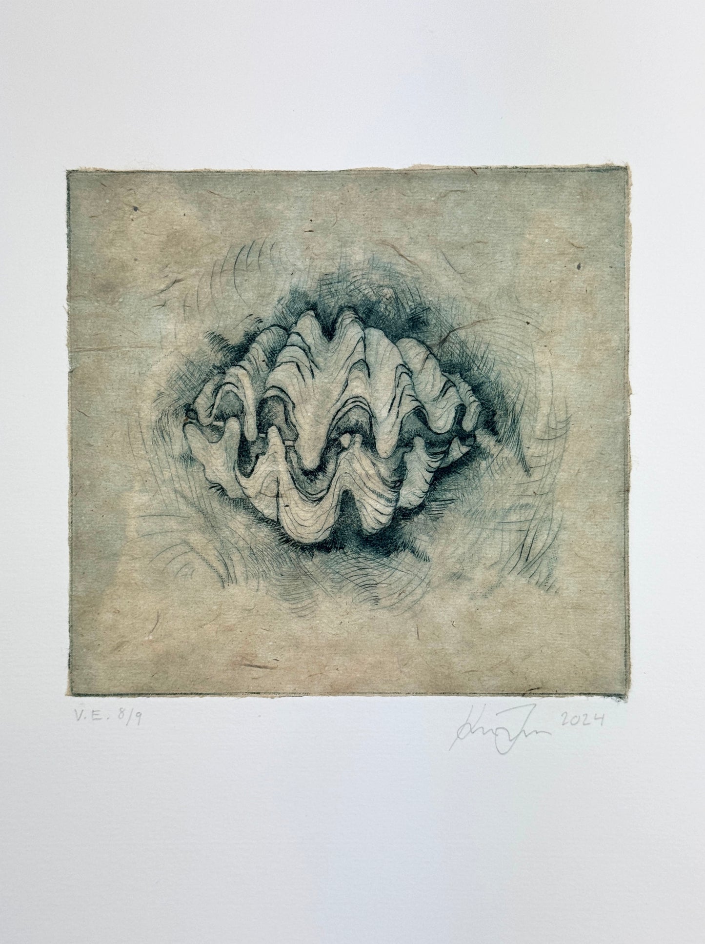 'Giant Clam' | Milan