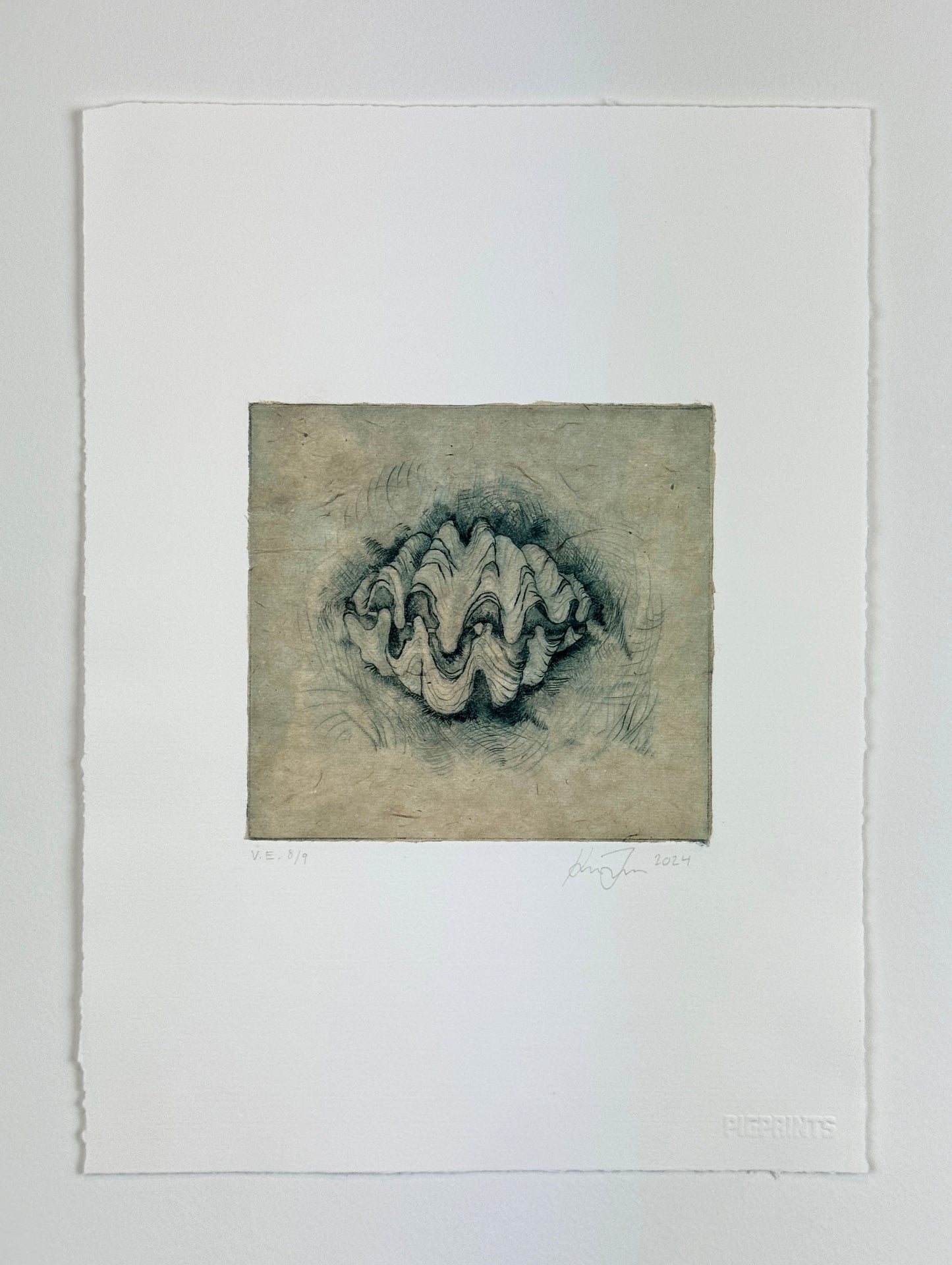 'Giant Clam' | Milan