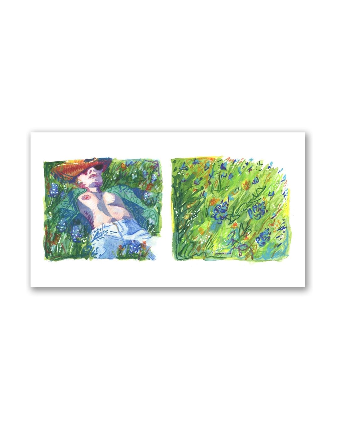 Bluebonnet Season