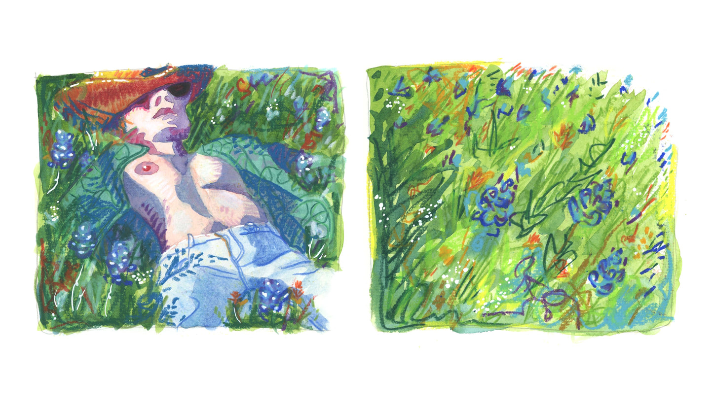 Bluebonnet Season