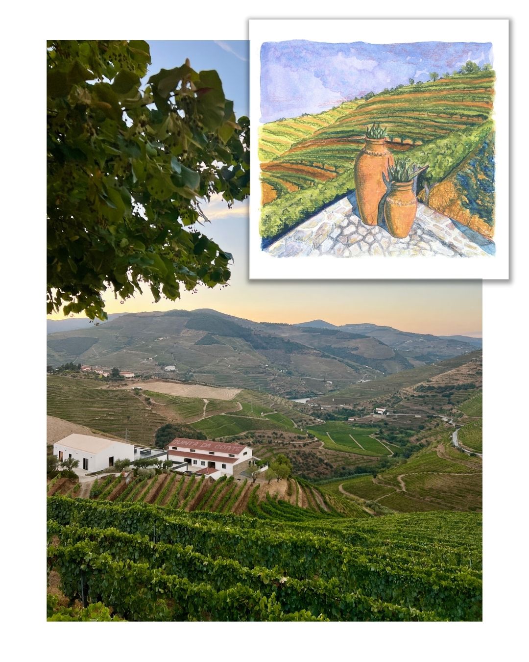 Douro Hillside - LA Fires Relief Charity Print