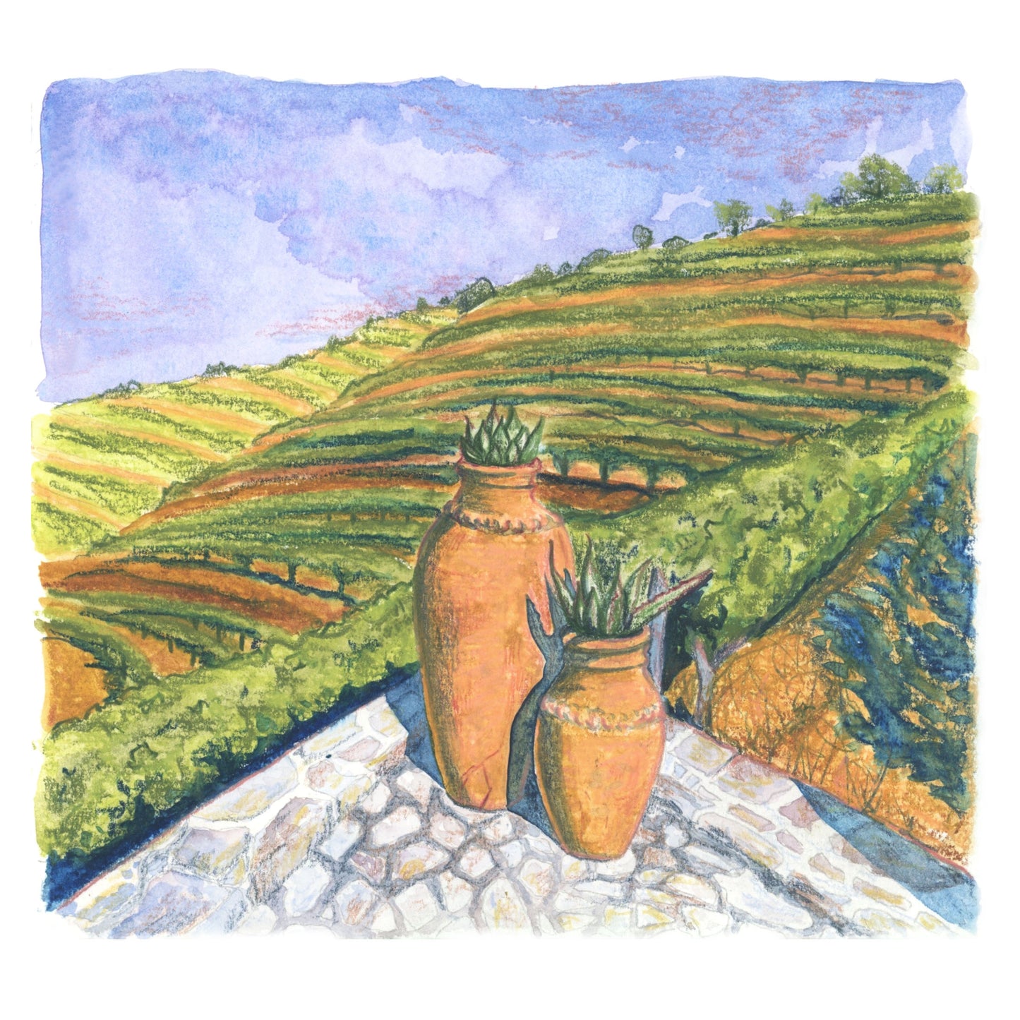 Douro Hillside - LA Fires Relief Charity Print