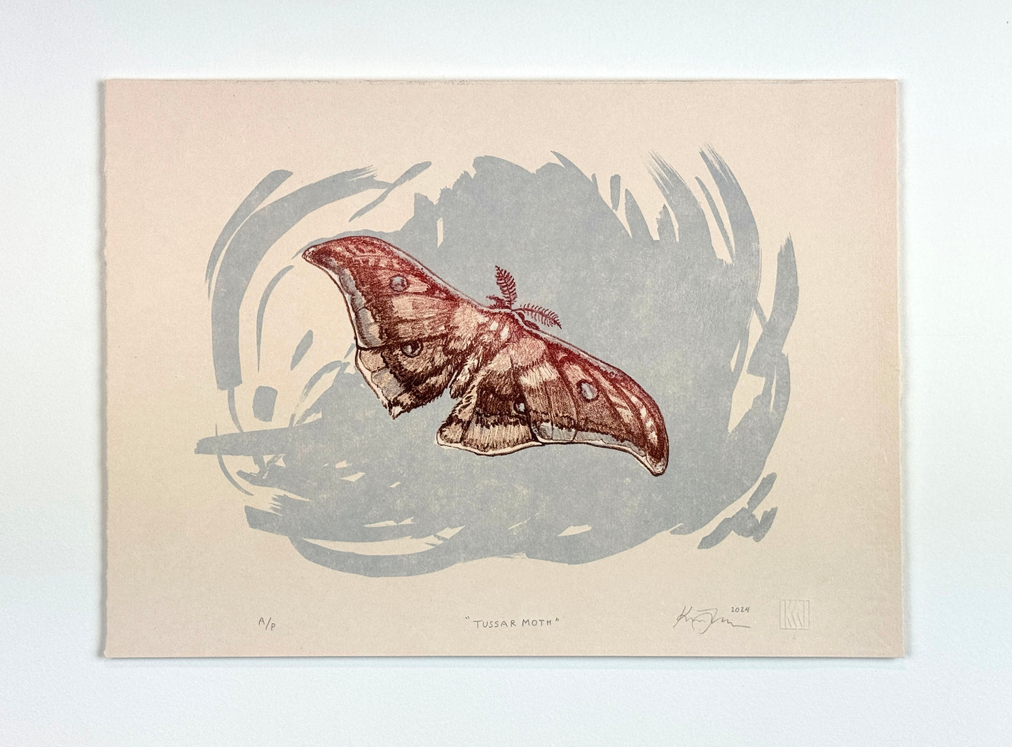 'Tussar Moth' | Tokyo