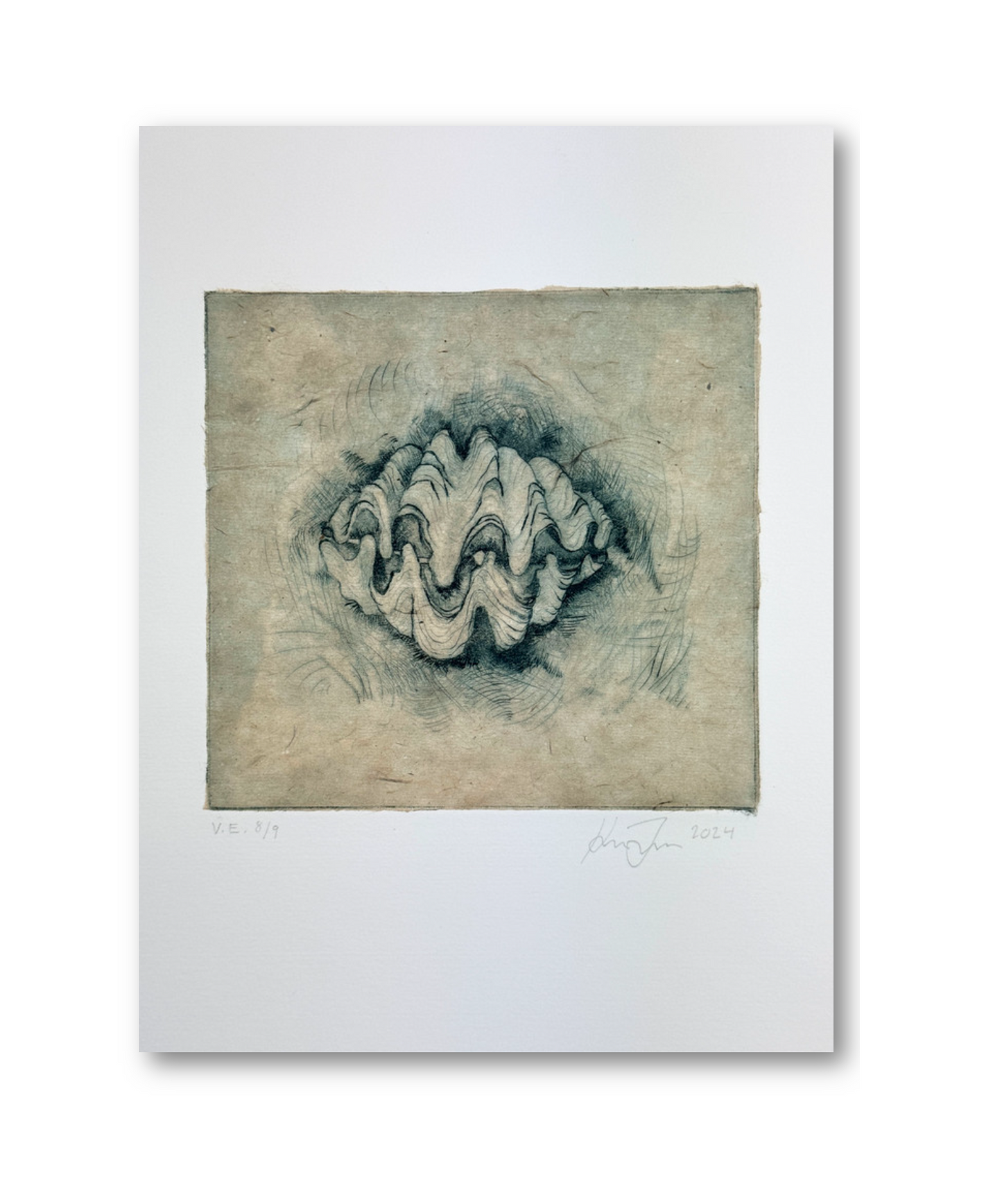 'Giant Clam' | Milan