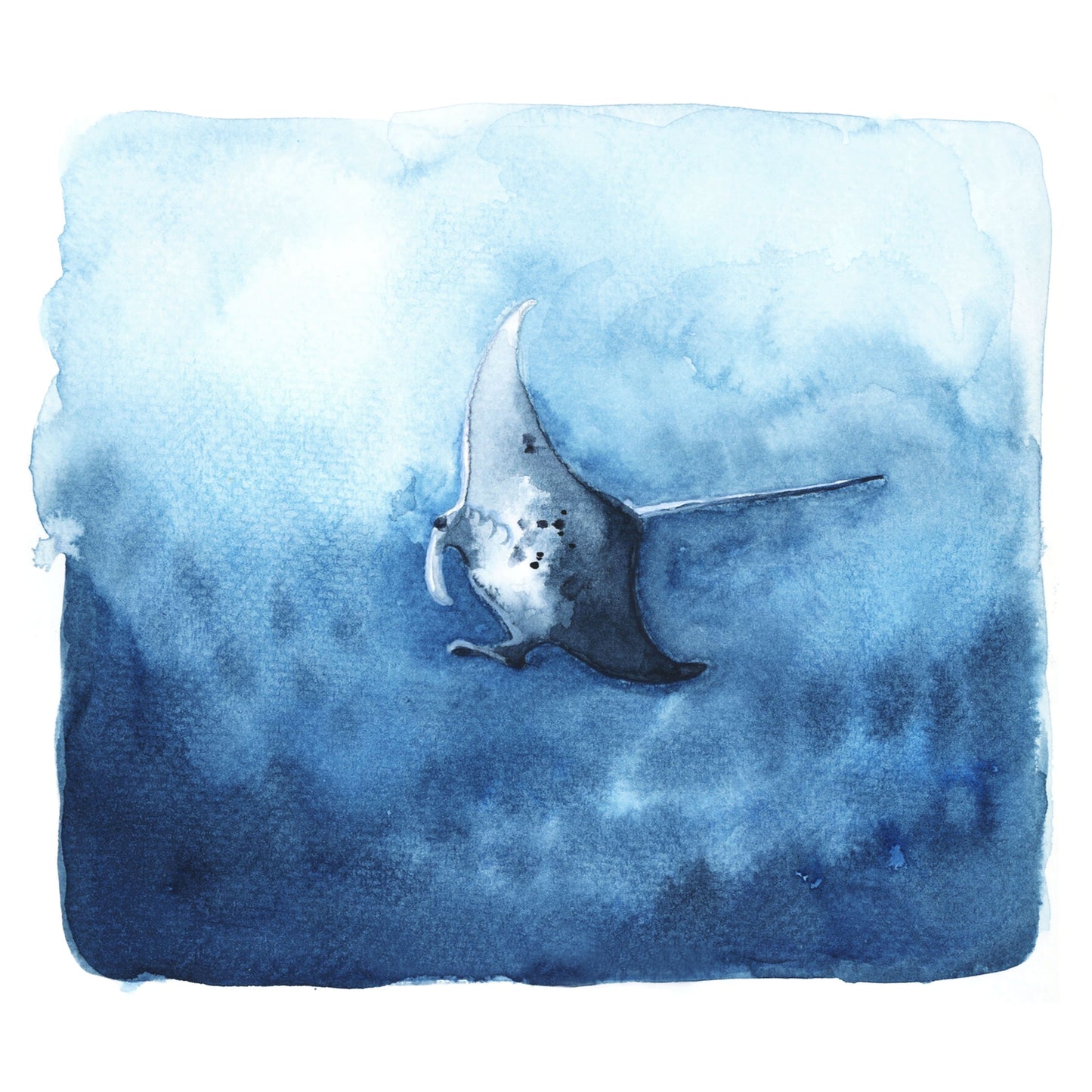 Oceanic Manta - LA Fires Relief Charity Print