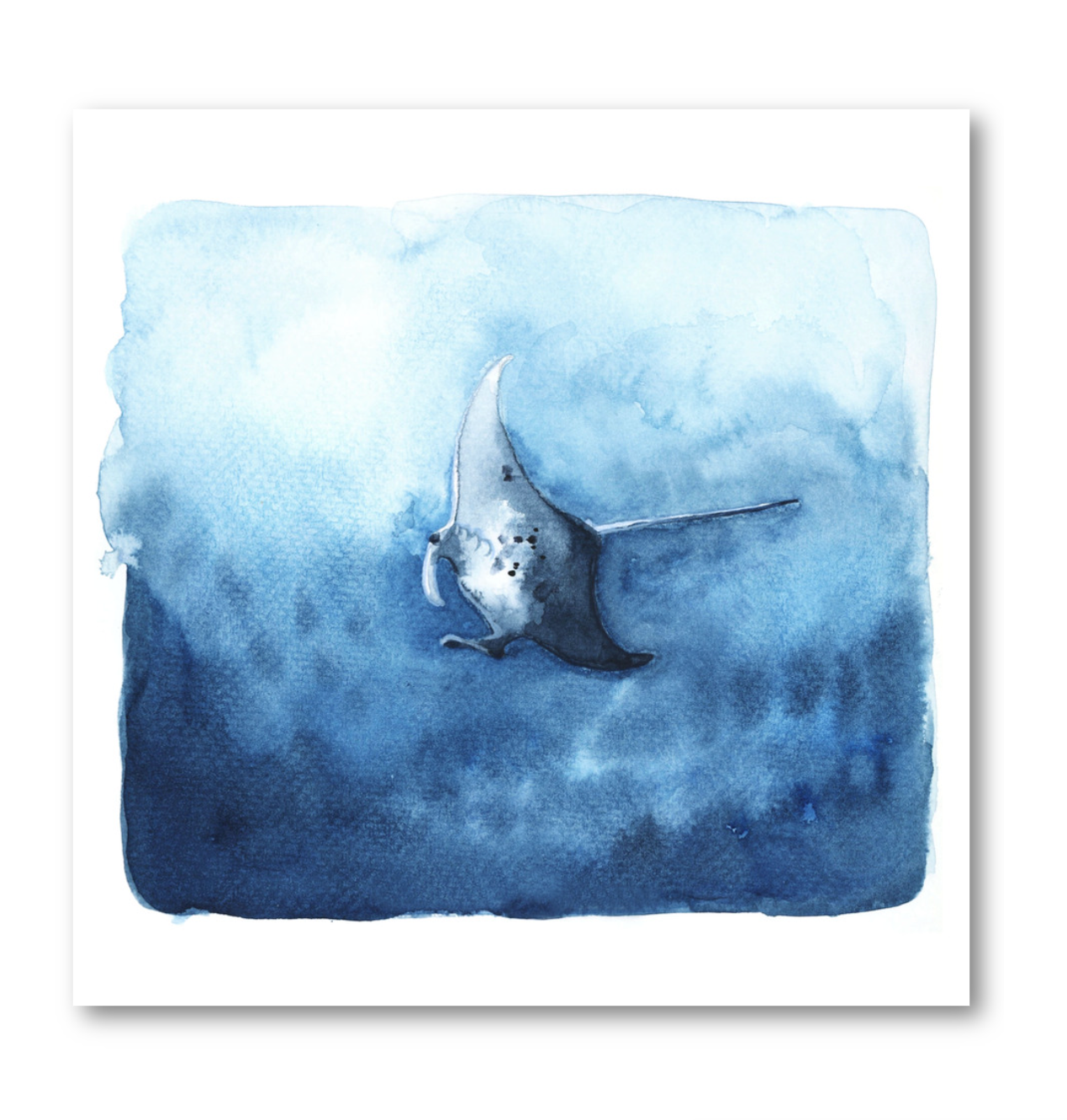 Oceanic Manta - LA Fires Relief Charity Print