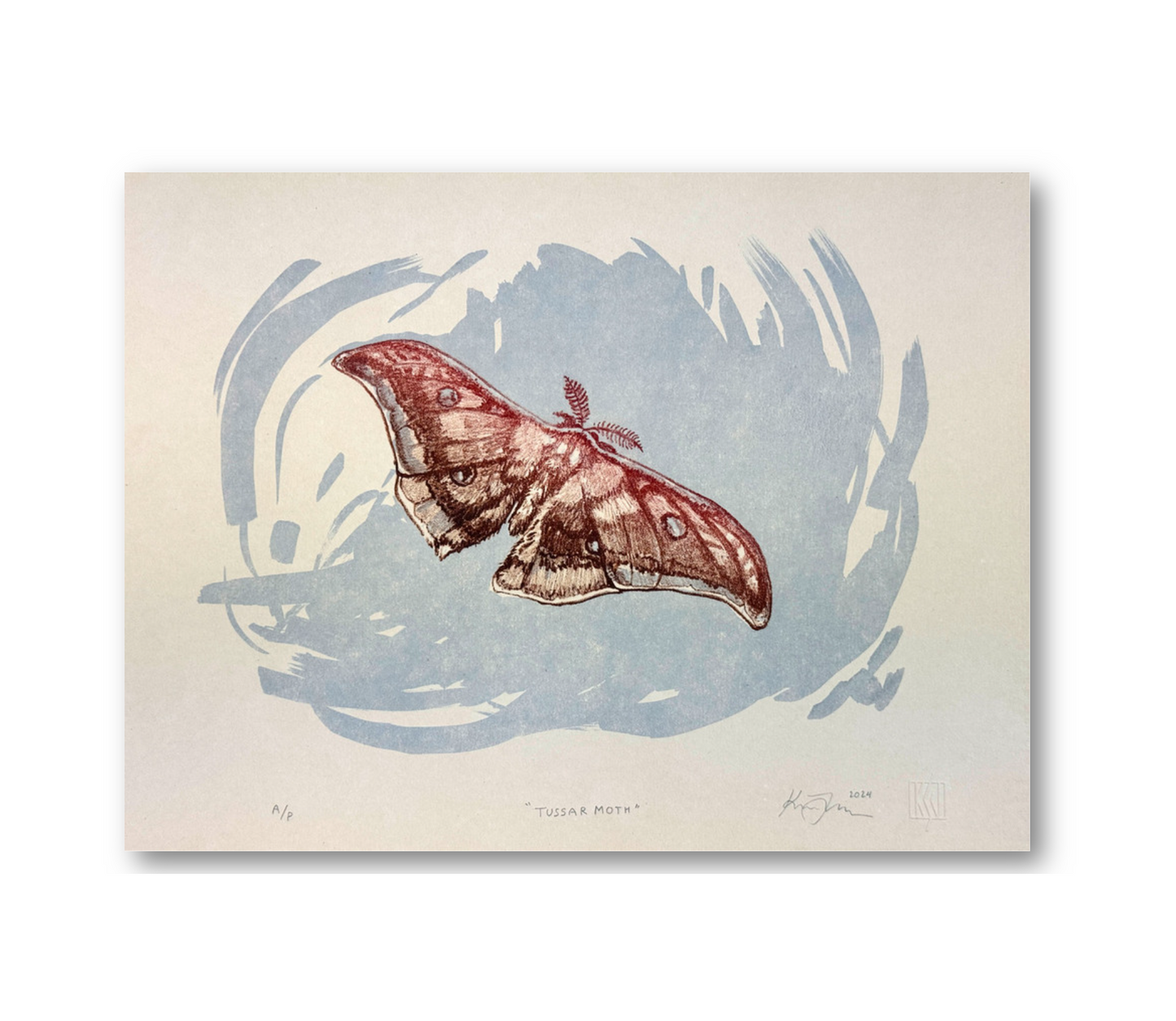 'Tussar Moth' | Tokyo